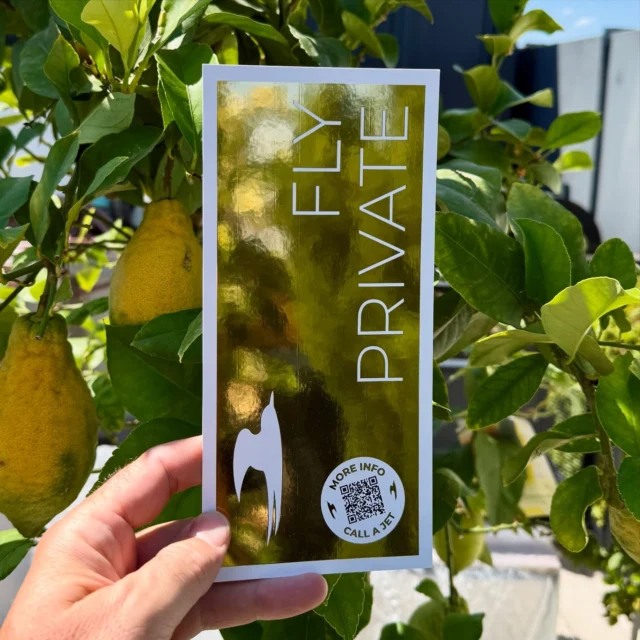 When life gives you lemons 🍋